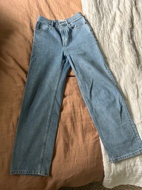 Everlane Light Blue The Way High Jean